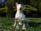 small_DSC05094.JPG, 5,1kB