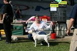 small_Gina_Brno1.jpg, 5,7kB