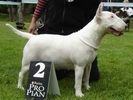 small_bety_od_kodetky_060514_01.jpg, 4,5kB