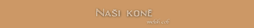 kone_h1.jpg, 19kB