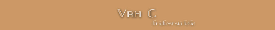 Vrh C