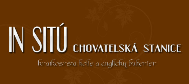 vstup_4.jpg, 37kB