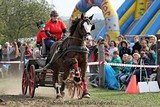 Krakovany 2015